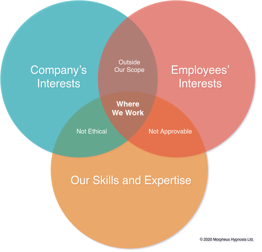 Morpheus Consulting Venn Diagram